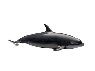 Fototapeta premium a dolphin on a white background
