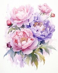 Bouquet of peonies in watercolor style. Botanical illustration