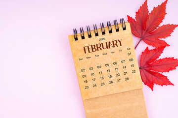 February 2025 monthly calendar and fall leaves on pink color background.