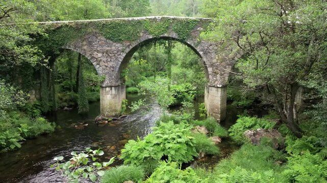 Ponte de Porto Bridge With Vegetation Over Sor River In Manon, A Coru&ntilde;a, Spain. dolly-in shot