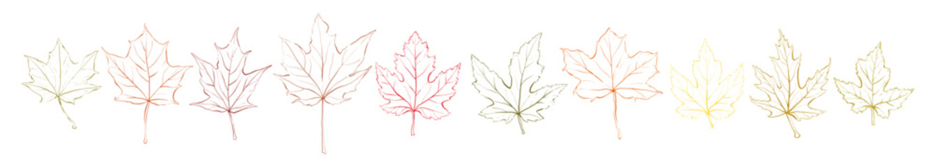 Set autumn leaves isolated. Vector illustration