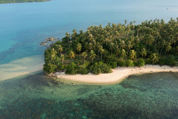 Aerial View of Tropical Island with Palm Trees and Coral Reef
