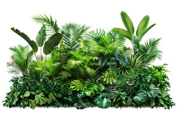 Obraz premium A collection of colorful tropical plants displayed against a clean white background, suitable for use in travel or lifestyle designs