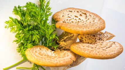mushrooms