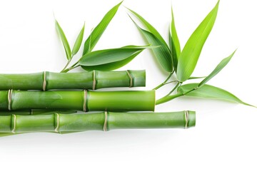 Fototapeta premium A collection of green bamboo sticks arranged on a plain white surface