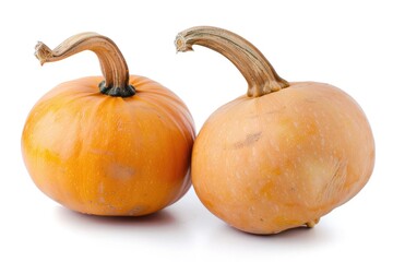 Pair of orange pumpkins displayed side by side on a clean white surface