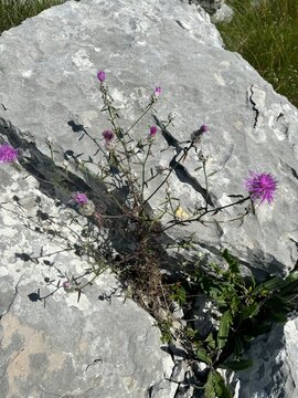 Dinara mountain in Croatia, landscape