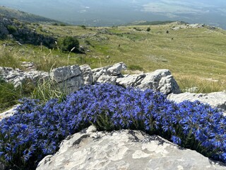 Dinara mountain in Croatia, landscape