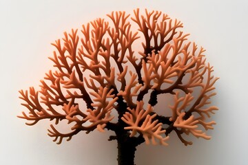 Naklejka premium Vibrant Coral on White Background