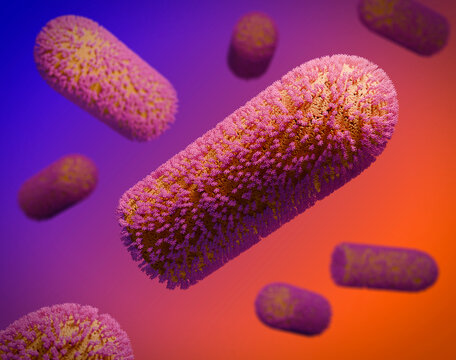 Chandipura virus particles, illustration