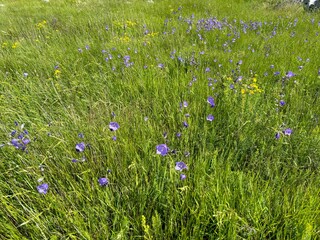 Dinara mountain in Croatia landscape