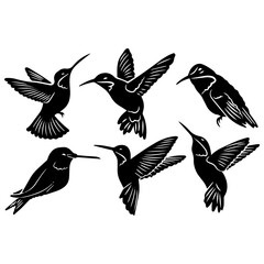 Hand drawn bird collection