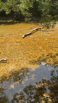 Beautiful Krcic river near Knin, Croatia