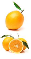 Orange fruit on the white background