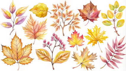Obraz premium Watercolor Autumn Leaves Collection for Seasonal Designs and Crafts