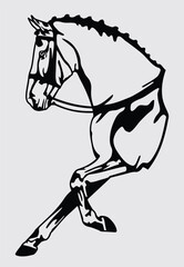 Sidesaddle Horse for Line art...