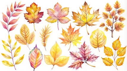 Obraz premium Watercolor Autumn Leaves Collection for Seasonal Designs and Crafts