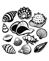 A detailed collection of various seashells.