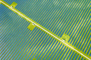 Aerial view of a large solar power plant in a green agricultural field with solar panels lined up...