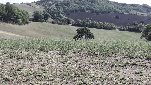 Vista nel parco naturale regionale del Sasso Simone e Simoncello