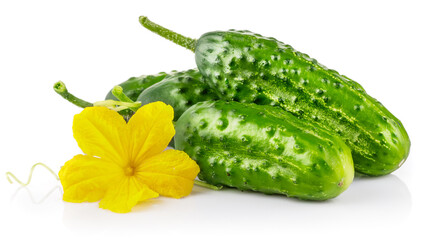 Fresh cucumbers with yellow flowers and green leaves. Ripe cucumber vegetables. Organic food. Isolated on white background