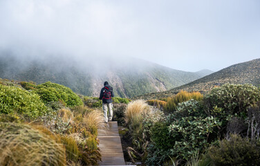 Man hiking Pouakai circuit, walking on boardwalk. Clouds drifting over the mountains. Egmont National park. New Zealand.