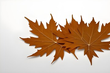 Fototapeta premium Close-up of Dry Leaves Isolated on White Background