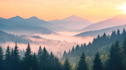 Obraz premium Misty mountains and forests at sunrise .