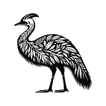 recommend clip art: Cassowary bird made by simple botanical drawing, black and white animal illustration