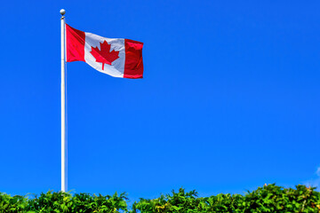 Canadian Flag