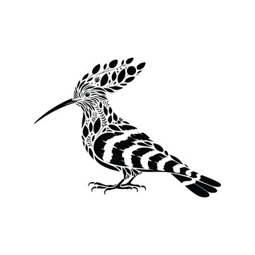 recommend clip art: Hoopoe bird made by simple botanical drawing, black and white animal illustration
