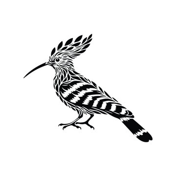 recommend clip art: Hoopoe bird made by simple botanical drawing, black and white animal illustration