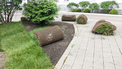 Three rolls of lush green grass rest on the sidewalk in a garden