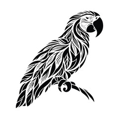 Macaw bird made by simple botanical drawing, black and white animal illustration