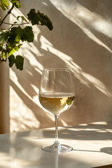 Chilled White Wine drink in modern off-white minimalist trendy stylish vegan plant-based cafe bar setting with stucco concrete wall, product photography, outdoors, sunny, beverage, bright, shadow play