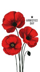 Armistice Day, Anzac day, Armistice Day Poster, Banner, Poster,