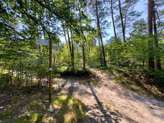 Wanderweg an den Emsquellen in der Moosheide bei Hövelhof, Wald mit Dünenlandschaft, Kiefern, Birken, Senne, Sennelandschaft, Kreis Paderborn, Ostwestfalen-Lippe, Nordrhein-Westfalen, Deutschland