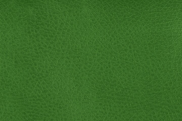 Beautiful green background with leather texture