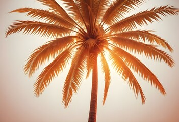 An isolated tree on white and different colour  background