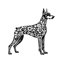 Obraz premium Doberman dog made by simple botanical drawing, black and white animal illustration black and white animal illustration