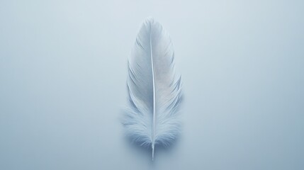 Obraz premium A delicate and enchanting magic feather, shimmering with a soft, iridescent glow. The feather’s intricate details and magical essence evoke a sense of wonder and fantasy, 