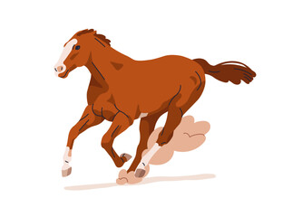 Horse galloping, racing. Thoroughbred stallion running at fast speed, powerful steed rushing with endurance, stamina. Muscular equine breed. Flat vector illustration isolated on white background
