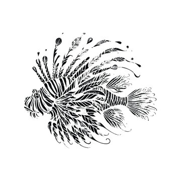 recommend clip art: lion fish made by simple botanical drawing, black and white animal illustration
