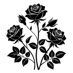 A striking black silhouette depicts three roses with detailed leaves highlighting the elegance of floral design and artistry