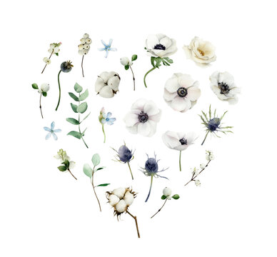 Winter floral heart arrangement with white anemone, cotton, sea holly, rose, eucalyptus, snowberry, tweedia flowers isolated. Hand-drawn botanical illustrations set. Floral elements for cards, wedding