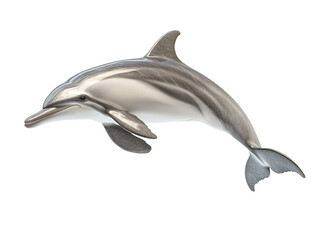 a dolphin jumping in the air © Maria