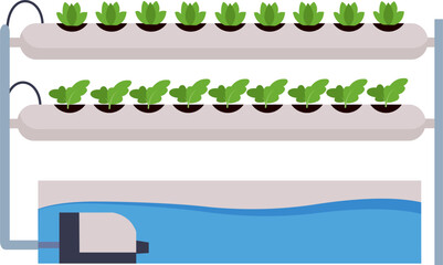 Obraz premium Hydroponic Instalation