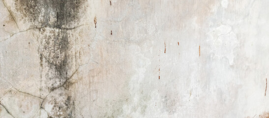 mossy cement wall
