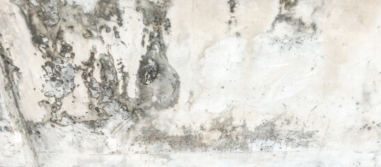 mossy paint cement wall