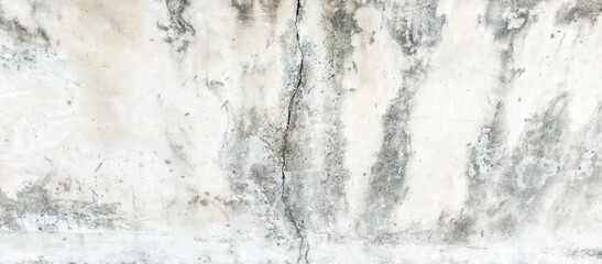 mossy paint cement wall